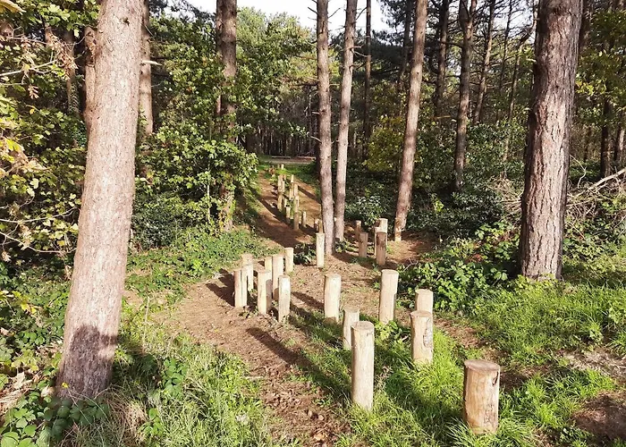 Zonnig In Uniek Gebouw De Haan